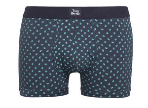 Side Daddy - blue brief with green paisley pattern - True Boxers